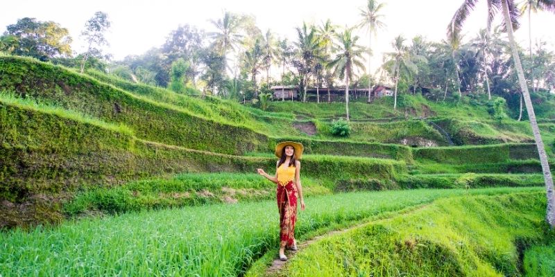 Tegalalang Rice Terraces